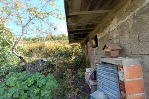 Landejendom i Tarouca, Viseu, Tarouca - € 55.000 | Ref: LMG_3759 - N - foto 20