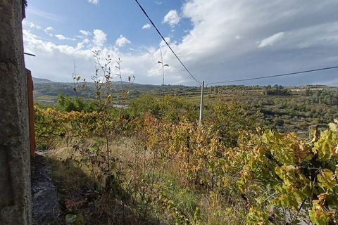 Landejendom i Tarouca, Viseu, Tarouca - € 55.000 | Ref: LMG_3759 - N - foto 21