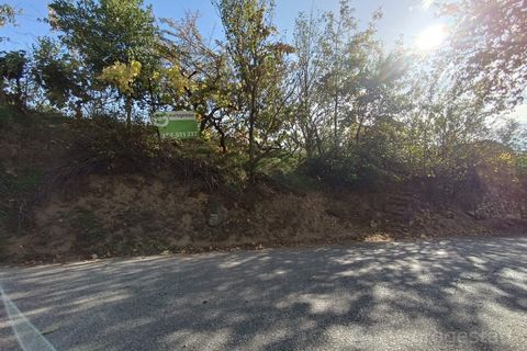 Landejendom i Tarouca, Viseu, Tarouca - € 55.000 | Ref: LMG_3759 - N - foto 22