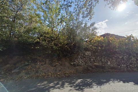 Landejendom i Tarouca, Viseu, Tarouca - € 55.000 | Ref: LMG_3759 - N - foto 23