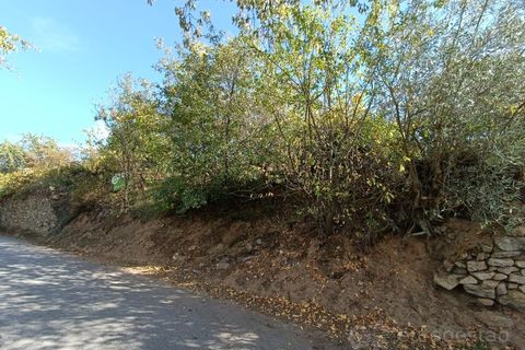 Landejendom i Tarouca, Viseu, Tarouca - € 55.000 | Ref: LMG_3759 - N - foto 24