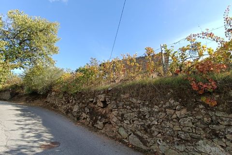 Landejendom i Tarouca, Viseu, Tarouca - € 55.000 | Ref: LMG_3759 - N - foto 25