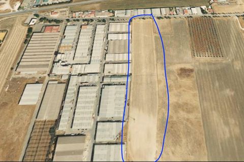 Terra a Ecija, Sevilla, Ecija - € 1.199.000 | Ref: EXP05635/8930 - foto 2
