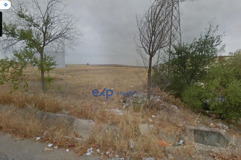 Terra a Ecija, Sevilla, Ecija - € 1.199.000 | Ref: EXP05635/8930 - foto 3