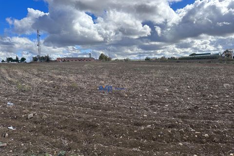 Terra a Ecija, Sevilla, Ecija - € 1.199.000 | Ref: EXP05635/8930 - foto 4