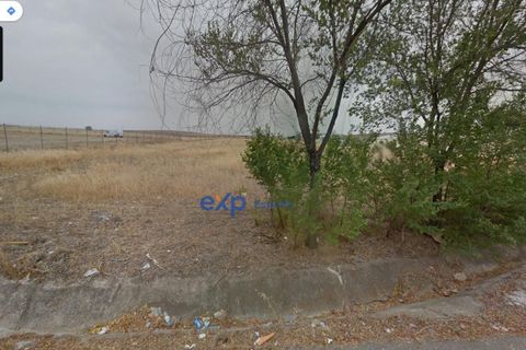 Terra a Ecija, Sevilla, Ecija - € 1.199.000 | Ref: EXP05635/8930 - foto 7