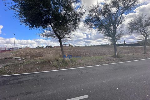 Terra a Ecija, Sevilla, Ecija - € 1.199.000 | Ref: EXP05635/8930 - foto 10