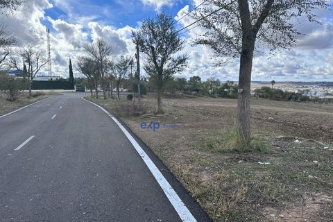 Terra a Ecija, Sevilla, Ecija - € 1.199.000 | Ref: EXP05635/8930 - foto 12