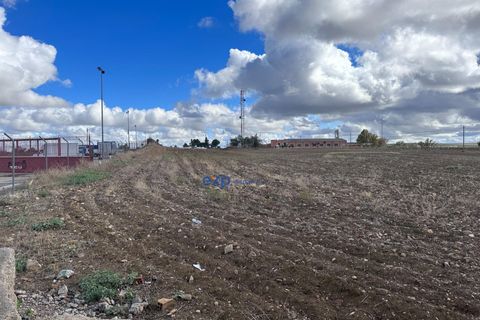 Terra a Ecija, Sevilla, Ecija - € 1.199.000 | Ref: EXP05635/8930 - foto 13