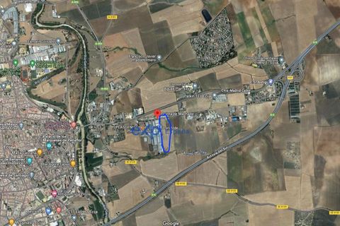 Terra a Ecija, Sevilla, Ecija - € 1.199.000 | Ref: EXP05635/8930 - foto 16