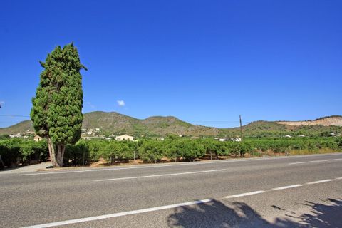 Terra a Pego, Alicante, Pego - € 1.600.000 | Ref: 00700 - foto 2