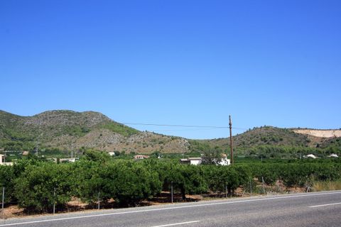 Terra a Pego, Alicante, Pego - € 1.600.000 | Ref: 00700 - foto 6