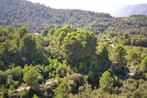 Helårsgrund i Orba, Alicante, Orba - € 130.000 | Ref: 001358 - foto 3
