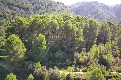 Helårsgrund i Orba, Alicante, Orba - € 130.000 | Ref: 001358 - foto 7