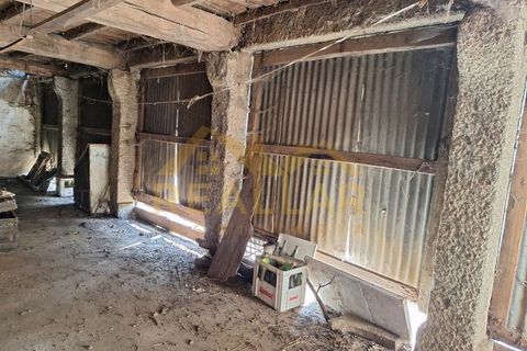 Villa i Braga, Braga, Braga - € 360.000 | Ref: RL-375-41 - foto 21