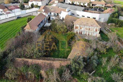 Farm i Braga, Braga, Braga - € 360.000 | Ref: RL-375-40 - foto 6