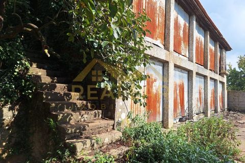 Farm i Braga, Braga, Braga - € 360.000 | Ref: RL-375-40 - foto 10