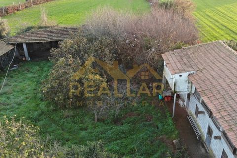 Farm i Braga, Braga, Braga - € 360.000 | Ref: RL-375-40 - foto 25