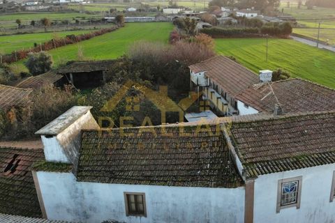 Farm i Braga, Braga, Braga - € 360.000 | Ref: RL-375-40 - foto 22