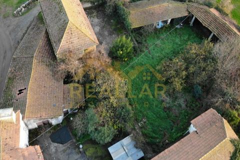 Farm i Braga, Braga, Braga - € 360.000 | Ref: RL-375-40 - foto 27