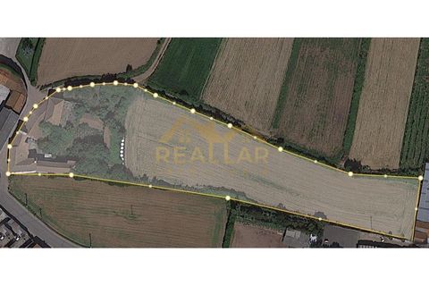 Farm i Braga, Braga, Braga - € 360.000 | Ref: RL-375-40 - foto 28