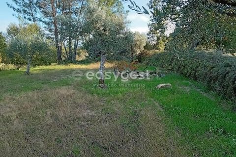 Helårsgrund i Castelo Branco, Castelo Branco, Castelo Branco - € 20.000 | Ref: CB93949MA - foto 1