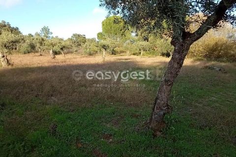 Helårsgrund i Castelo Branco, Castelo Branco, Castelo Branco - € 20.000 | Ref: CB93949MA - foto 3