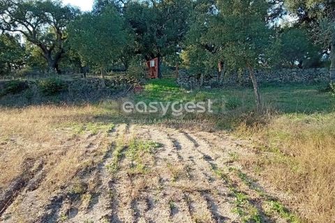 Helårsgrund i Castelo Branco, Castelo Branco, Castelo Branco - € 20.000 | Ref: CB93949MA - foto 4