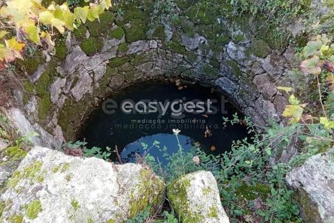 Helårsgrund i Castelo Branco, Castelo Branco, Castelo Branco - € 20.000 | Ref: CB93949MA - foto 13