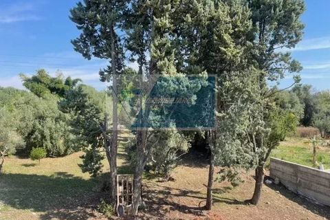 Villa a Siracusa, Siracusa, Siracusa - € 130.000 | Ref: RIF. BEL VCAM 14 - foto 13