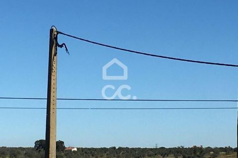 Terra a Amareleja, Beja, Amareleja - € 25.000 | Ref: 333/T/01306 - foto 4