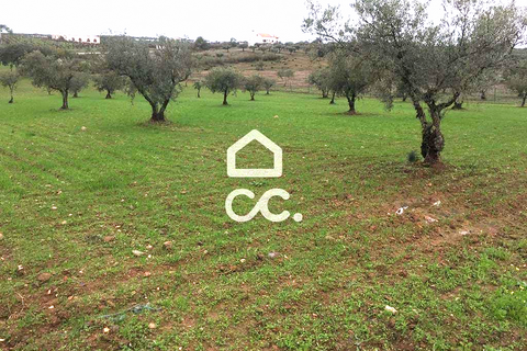 Terra a Amareleja, Beja, Amareleja - € 25.000 | Ref: 333/T/01306 - foto 2