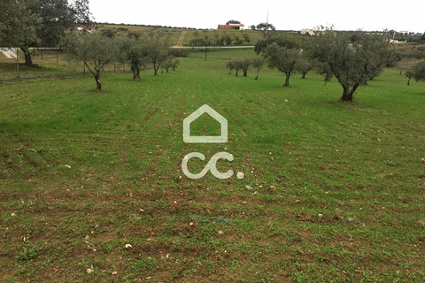 Terra a Amareleja, Beja, Amareleja - € 25.000 | Ref: 333/T/01306 - foto 5