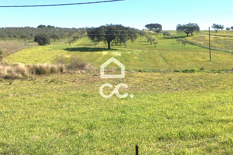 Terra a Amareleja, Beja, Amareleja - € 25.000 | Ref: 333/T/01306 - foto 6
