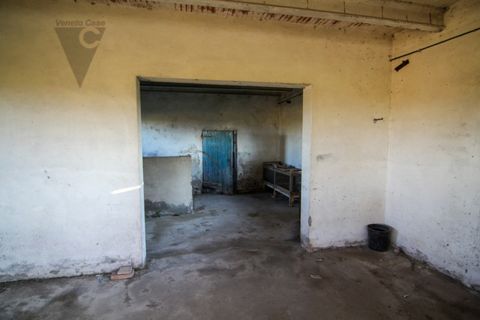 Villa i Codevigo, Padua, Codevigo - € 269.000 | Ref: COD-005 - foto 32