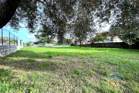 Helårsgrund i Romans d'Isonzo, Gorizia, Romans d'Isonzo - € 55.000 | Ref: CLL55NC13 - foto 5