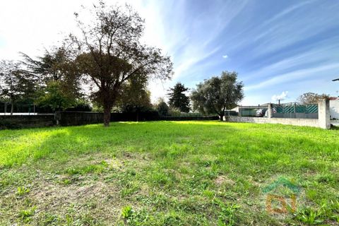 Helårsgrund i Romans d'Isonzo, Gorizia, Romans d'Isonzo - € 55.000 | Ref: CLL55NC13 - foto 6