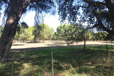Landejendom i Ermidas do Sado, Setubal, Ermidas do Sado - € 1.950.000 | Ref: EXP_258 - foto 1