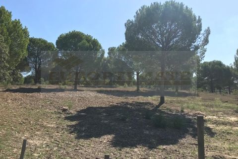 Landejendom i Ermidas do Sado, Setubal, Ermidas do Sado - € 1.950.000 | Ref: EXP_258 - foto 3