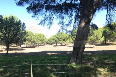 Landejendom i Ermidas do Sado, Setubal, Ermidas do Sado - € 1.950.000 | Ref: EXP_258 - foto 5