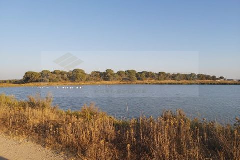 Landejendom i Ermidas do Sado, Setubal, Ermidas do Sado - € 600.000 | Ref: EXP_230 - foto 3