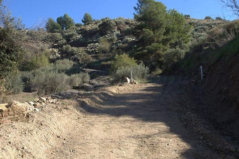 Finca i Torrox, Malaga, Torrox - € 265 000 | Ref: TF040 - foto 3