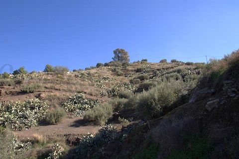 Finca i Torrox, Malaga, Torrox - € 265 000 | Ref: TF040 - foto 4
