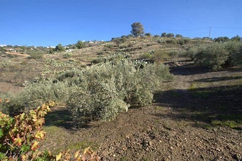 Finca i Torrox, Malaga, Torrox - € 265 000 | Ref: TF040 - foto 5