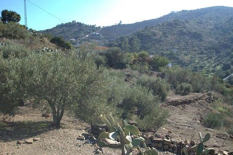 Finca i Torrox, Malaga, Torrox - € 265 000 | Ref: TF040 - foto 6