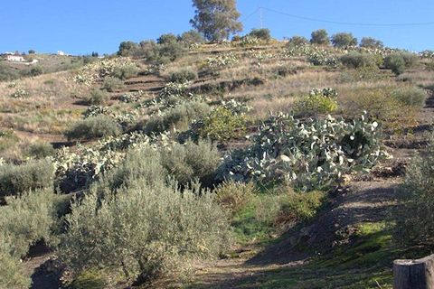 Finca i Torrox, Malaga, Torrox - € 265 000 | Ref: TF040 - foto 10