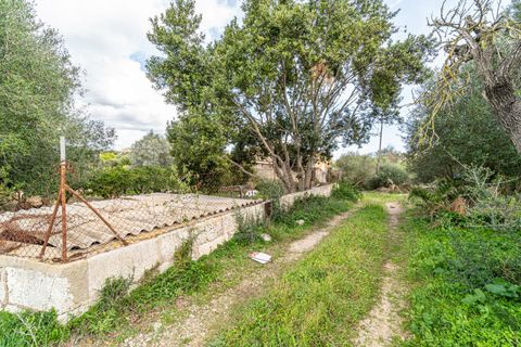 Landejendom i Son Servera, Mallorca, Son Servera - € 599.000 | Ref: JRP1074/3010 - foto 24