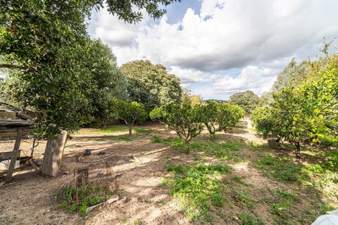 Landejendom i Son Servera, Mallorca, Son Servera - € 599.000 | Ref: JRP1074/3010 - foto 25