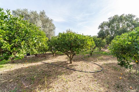Landejendom i Son Servera, Mallorca, Son Servera - € 599.000 | Ref: JRP1074/3010 - foto 26