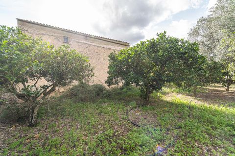 Landejendom i Son Servera, Mallorca, Son Servera - € 599.000 | Ref: JRP1074/3010 - foto 27
